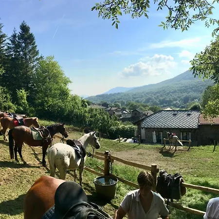 Centolaghi